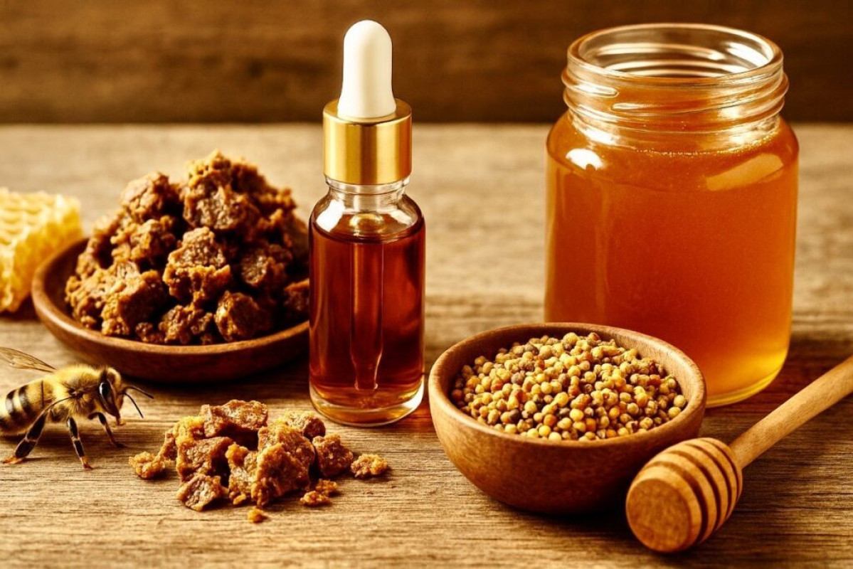 Propolis: včelí poklad s léčivým potenciálem potvrzeným vědou