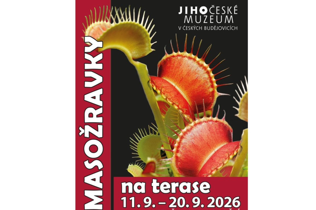 Jihočeské muzeum: Masožravky na terase - prodejní výstava