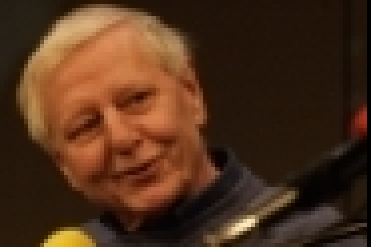 [title]