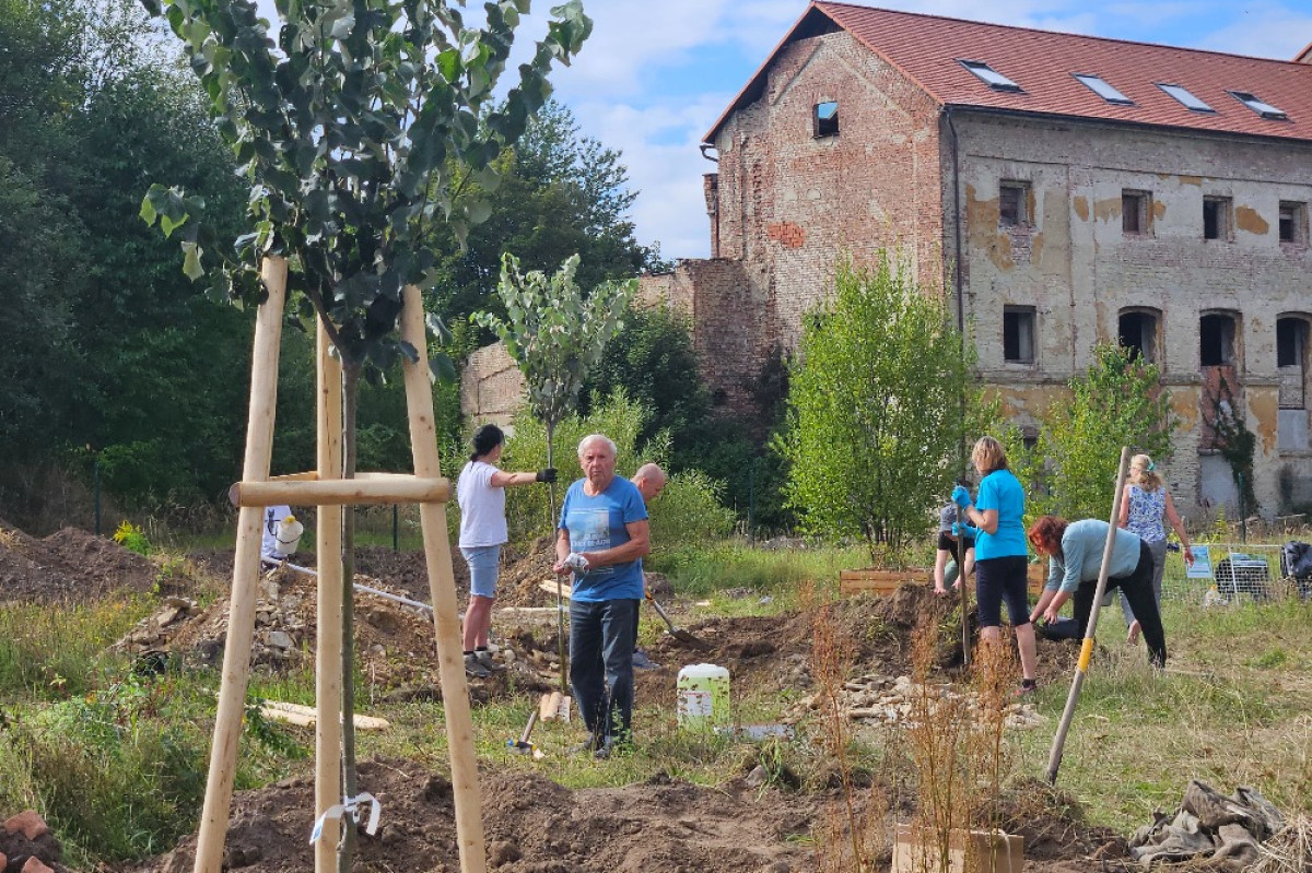Otevřená zahrada ve Vysokém Mýtě ožila novou výsadbou