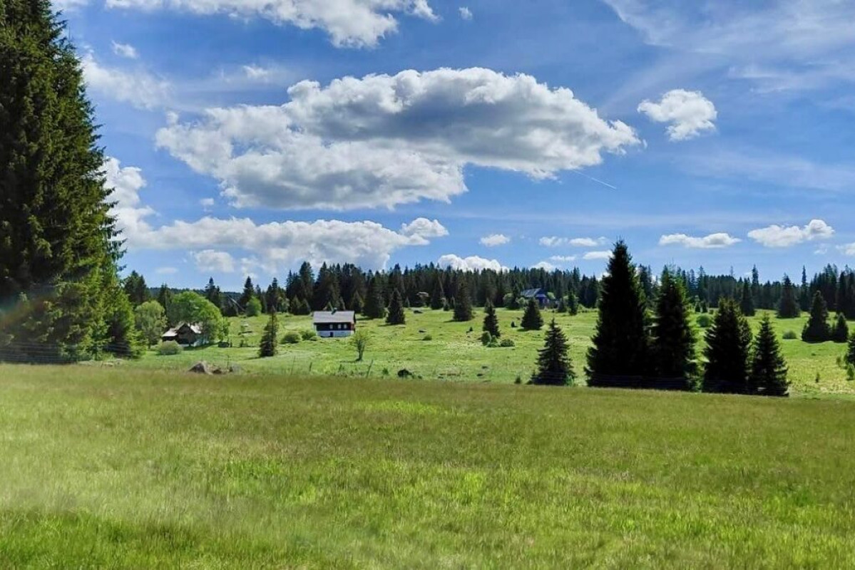 Šumava a Modrava: Nejkrásnější trasy do srdce divočiny