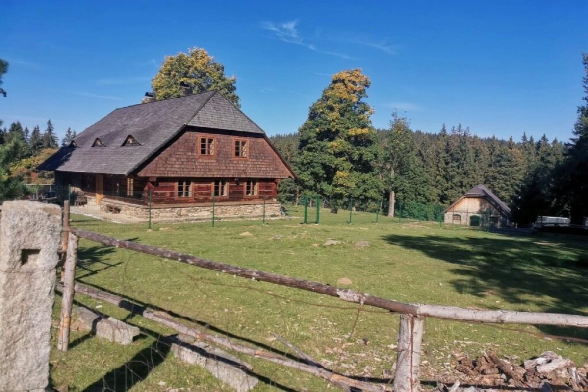 Javorná na Šumavě nabízí tiché lesy, výhledy i barokní kostel Javorná na Šumavě nabízí tiché lesy, výhledy i barokní kostel