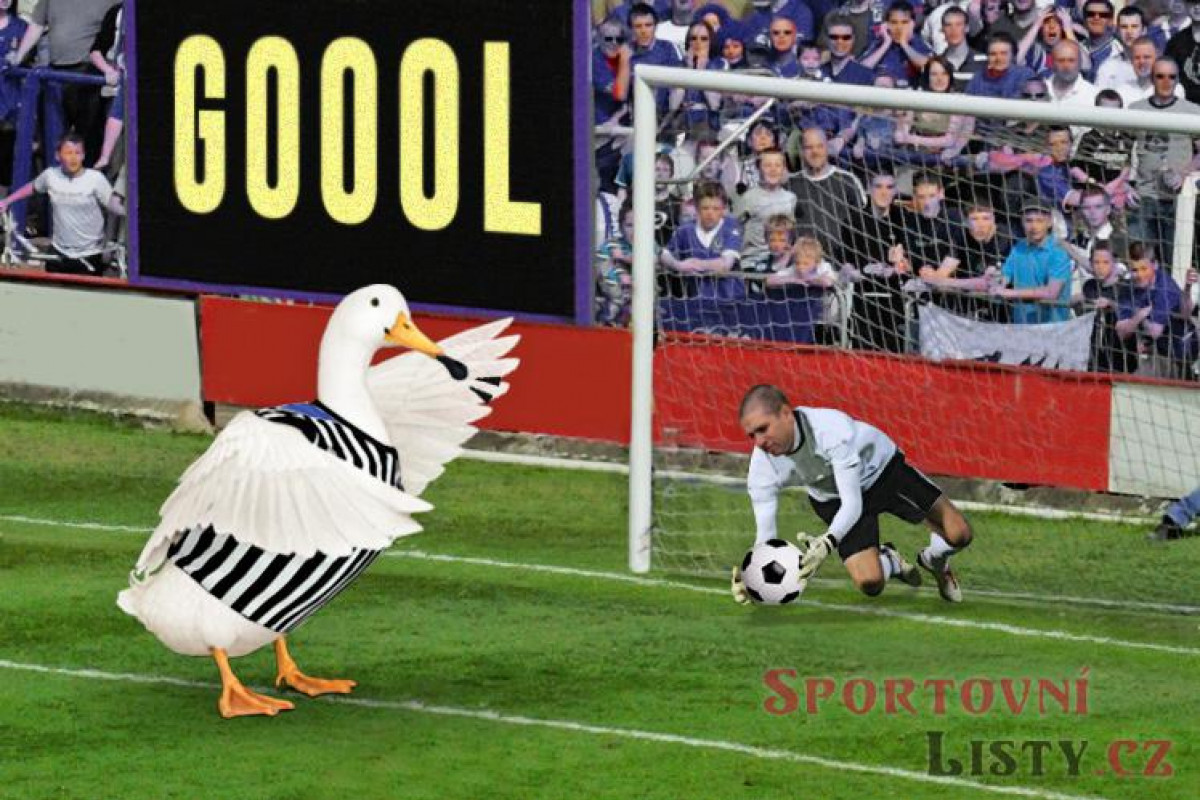 Ivan Hašek v zoufalství přemlouvá k velkému návratu