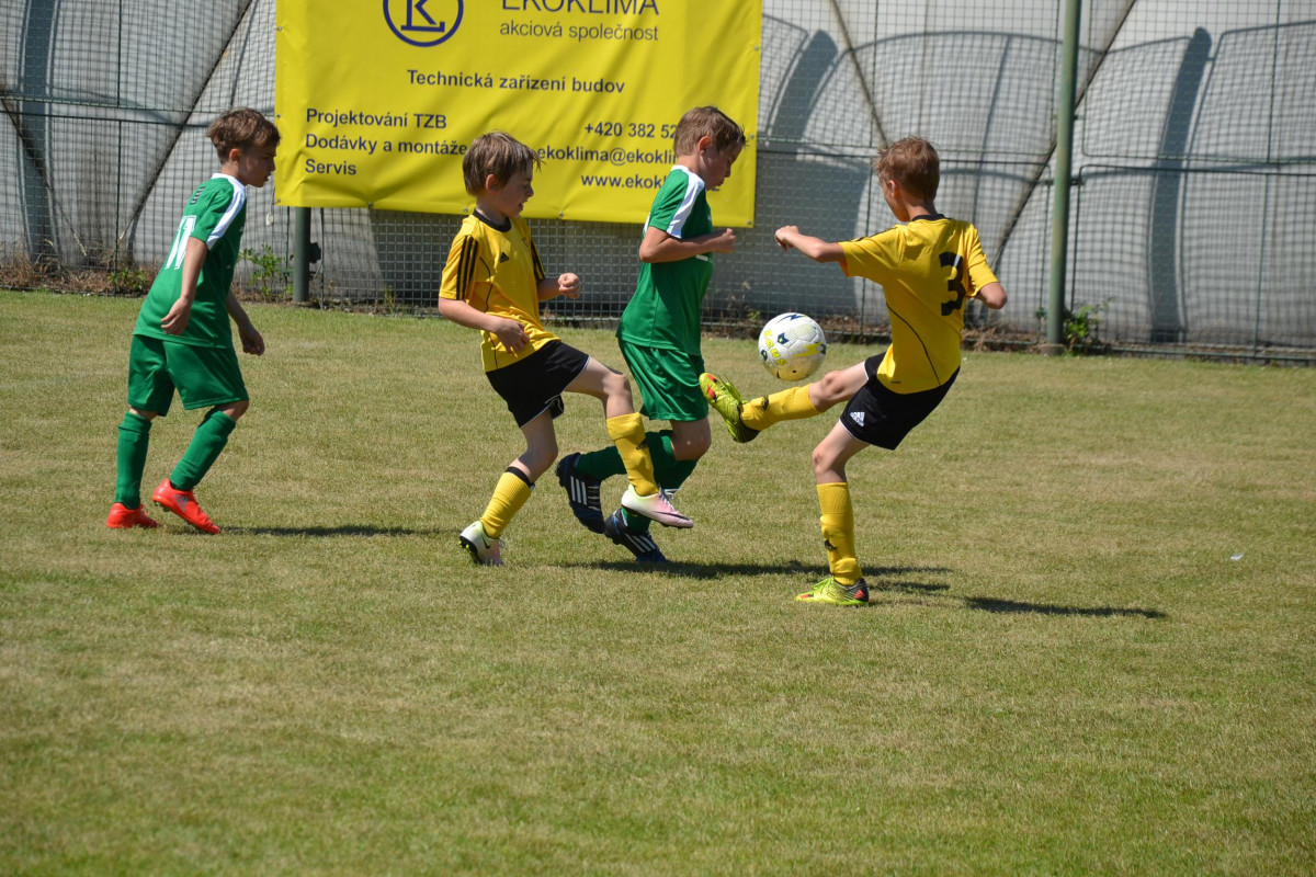 Víte, který sport má v Česku nejpočetnější členskou základnu?  Fotbal 359 614, atletika 84 817 a florbal 77 992