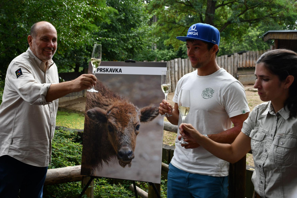 Jiří Prskavec pokřtil mládě zubra v Zoo Praha, které má jmeno začínající písmeny pr ..  Prskavka