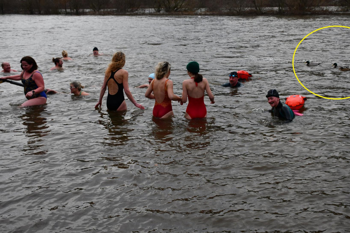 Kam 4. ledna 2026 za sportem? Na lední hokej, basketbal, házenou, otužilce ve Vltavě