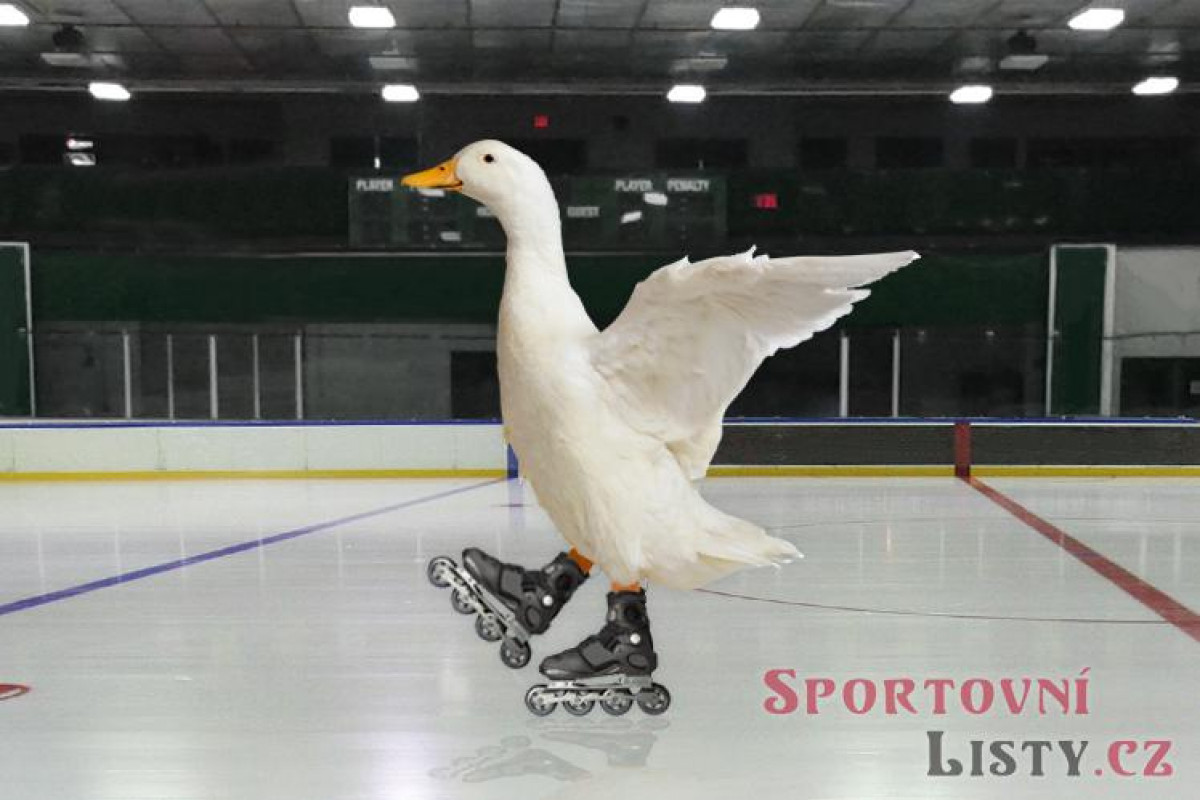 Hadamczik prozradil nové vedení reprezentace