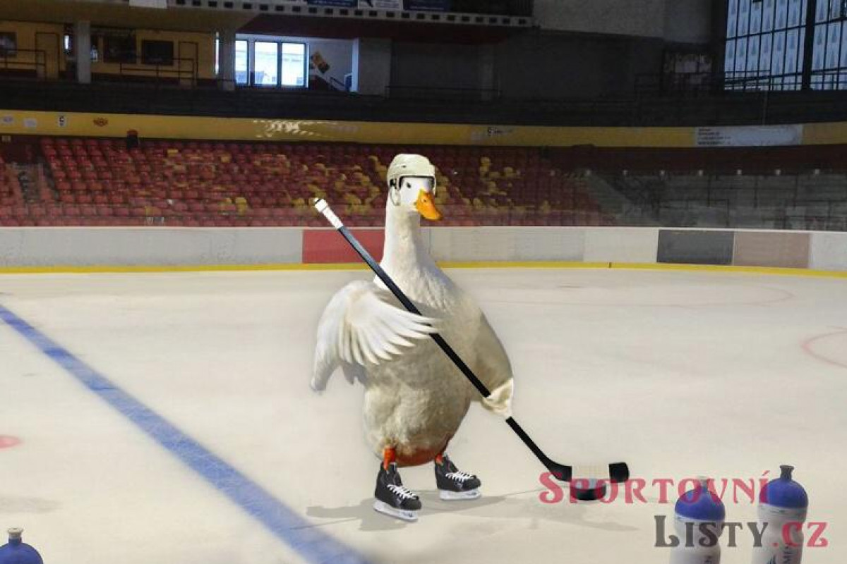 Hokejová Sparta nuceně končí Hokejová Sparta nuceně končí