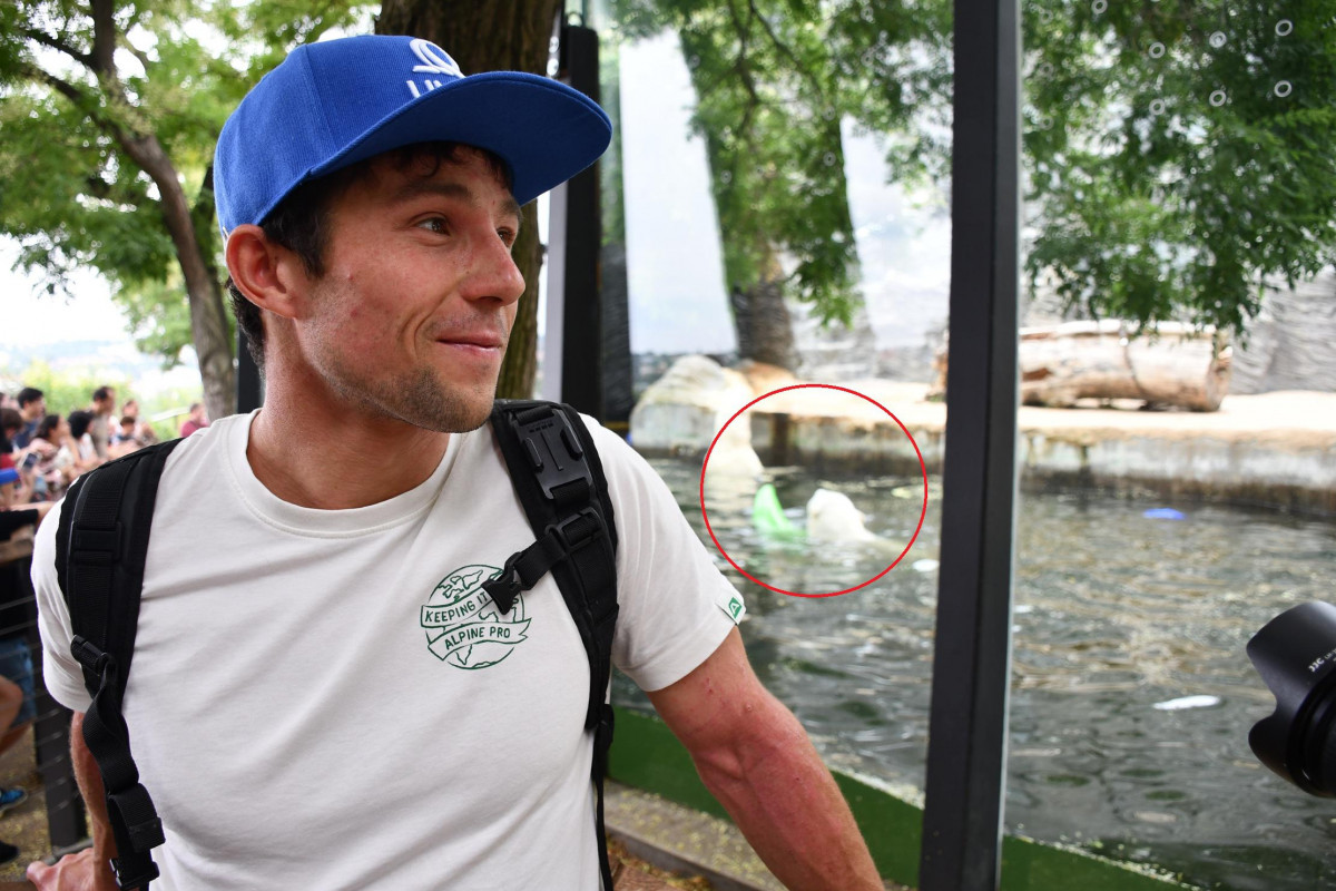 Třímetrákoví lední méďové se v pražské Zoo pobavili s kajakem, který jim přinesl Jiří Prskavec mladší
