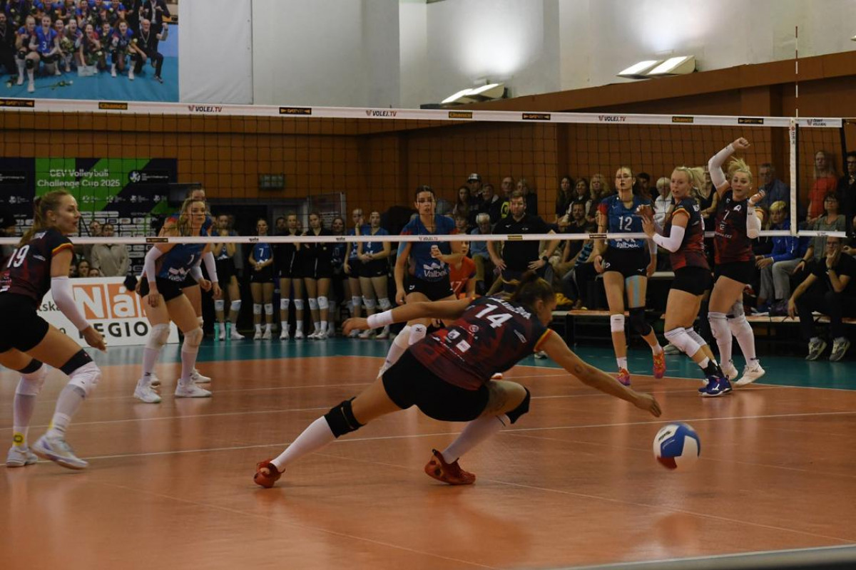 Kam 28. prosince 2025 za sportem? Na lední hokej, volejbal, florbal a vůbec