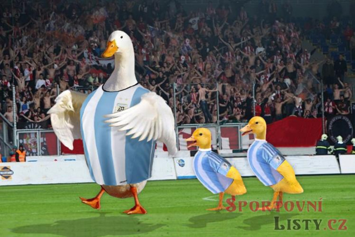 AFA a záhada pilarské vily aneb kde končí góly a začínají peníze