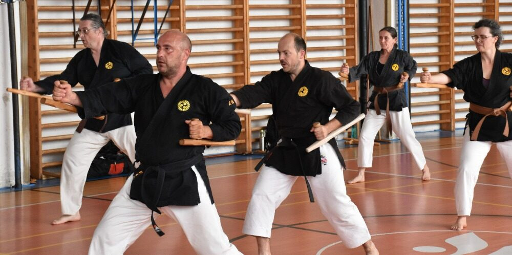 Okinawa Kobudo v Havlíčkově Brodě: šest hodin tréninku se zbraněmi Okinawa Kobudo v Havlíčkově Brodě: šest hodin tréninku se zbraněmi