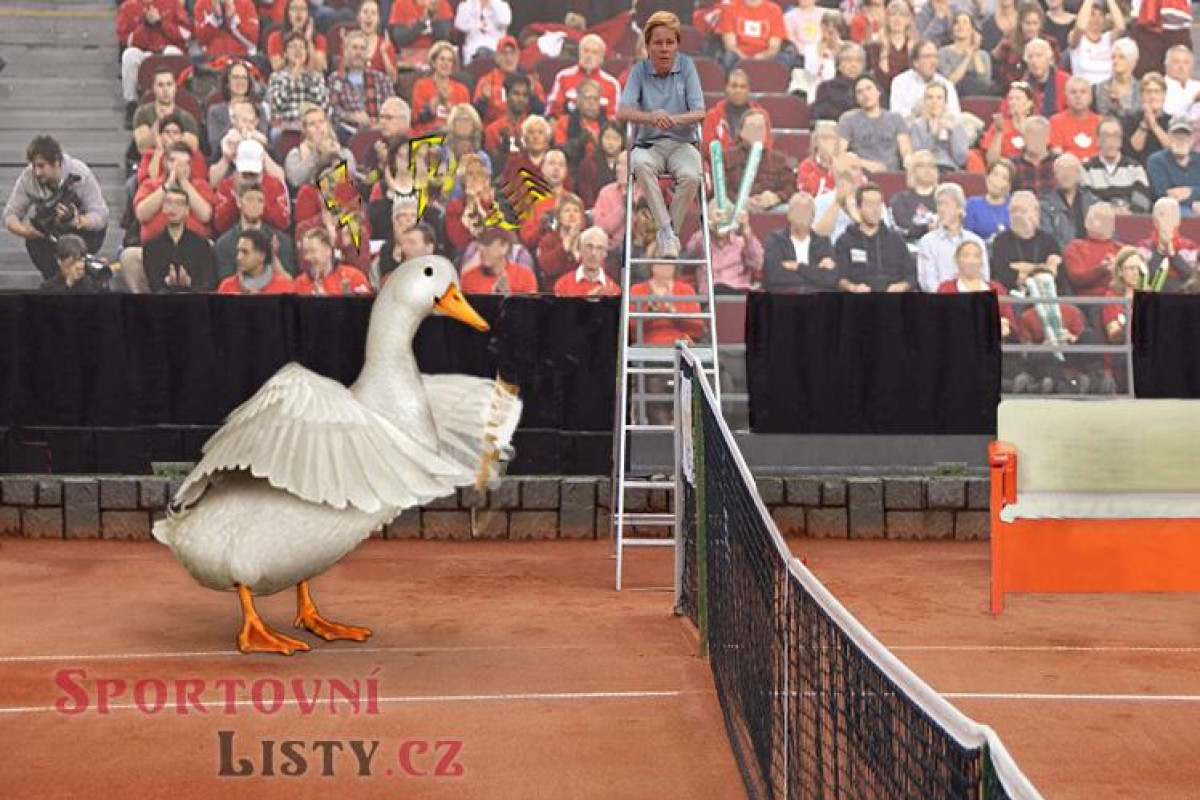 Čeští tenisté mistry světa Čeští tenisté mistry světa