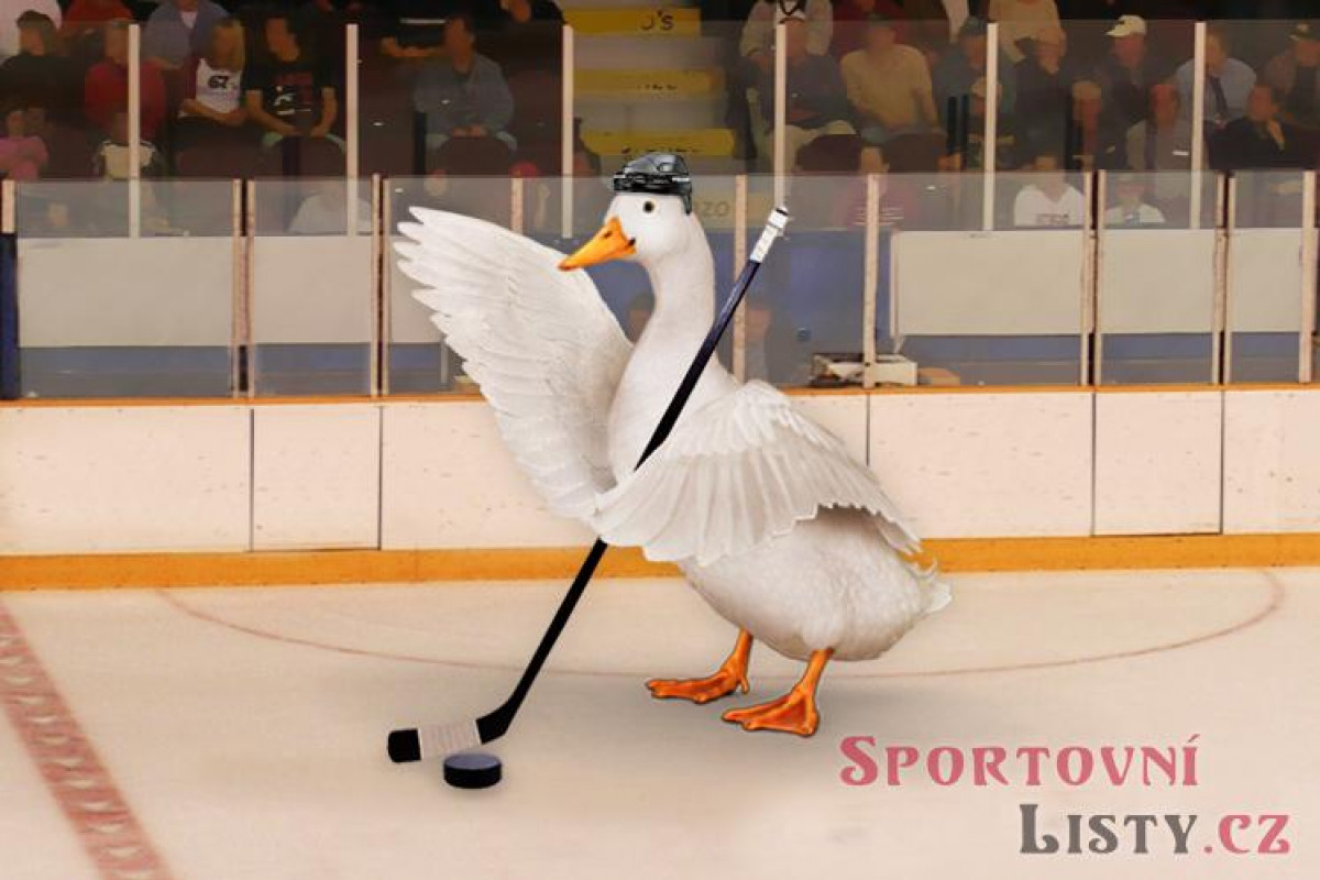 Hokejová Sparta porazila fotbalovou