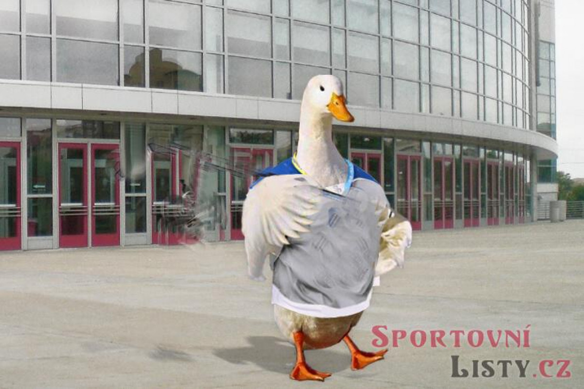 ČOV hledá bobistu na poslední chvíli před olympiádou