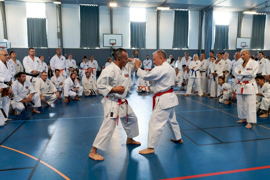Stáž Okinawa Shorin-ryu Karate k příležitosti 50 let založení mezinárodní federace WOF