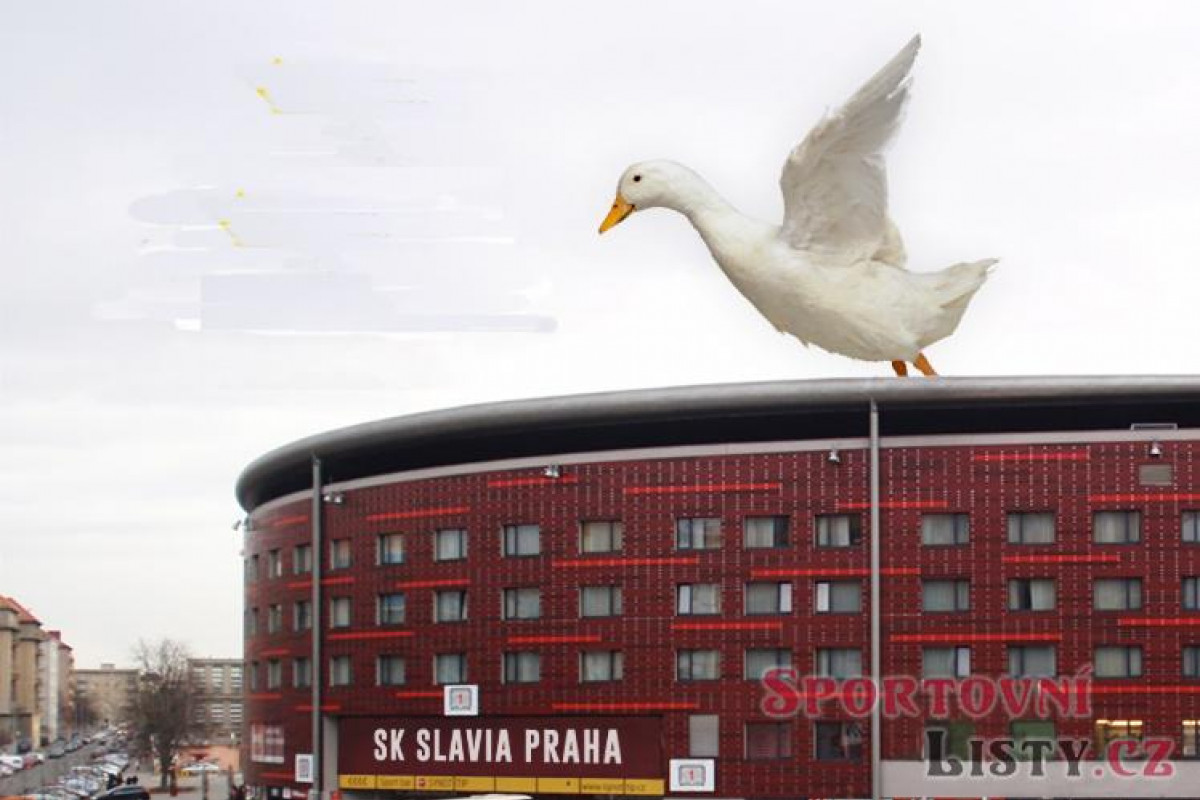 Po další bodové ztrátě mění Slavia plány