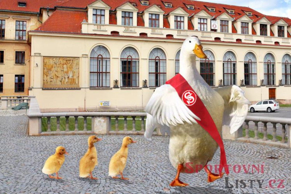 Bude Všesokolský slet v Brně? Bude Všesokolský slet v Brně?