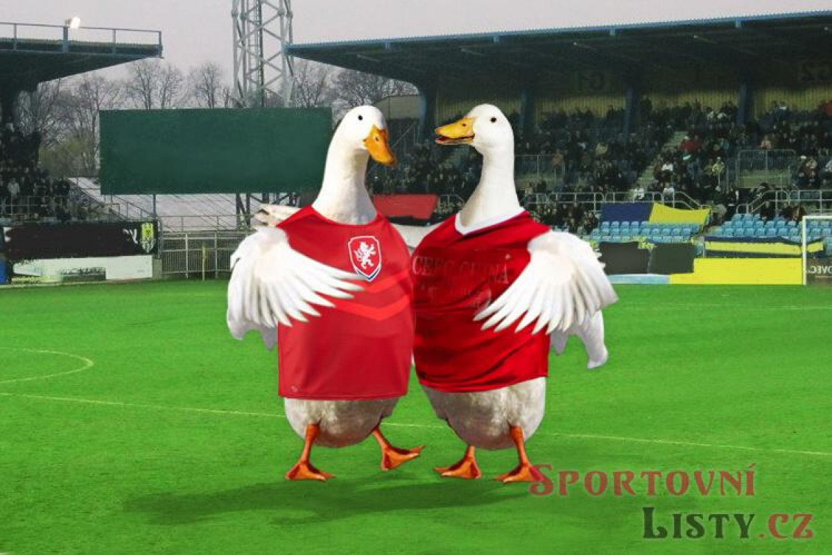 Fanoušci se skládají na reprezentanty