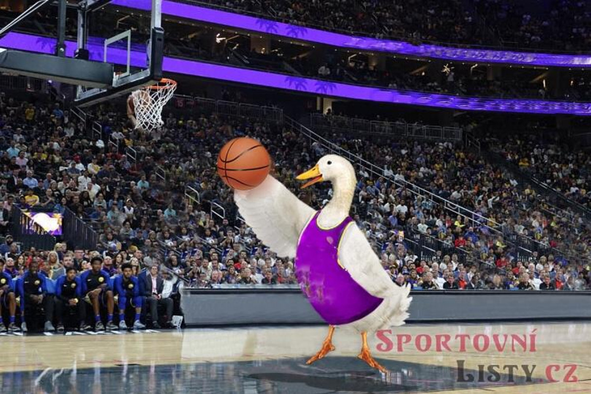 Čeští basketbalisté jedou na zápas autobusem