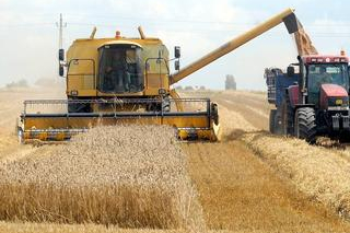 Kyjev tlačí na Brusel, aby zrušil zákaz dovozu zemědělských produktů