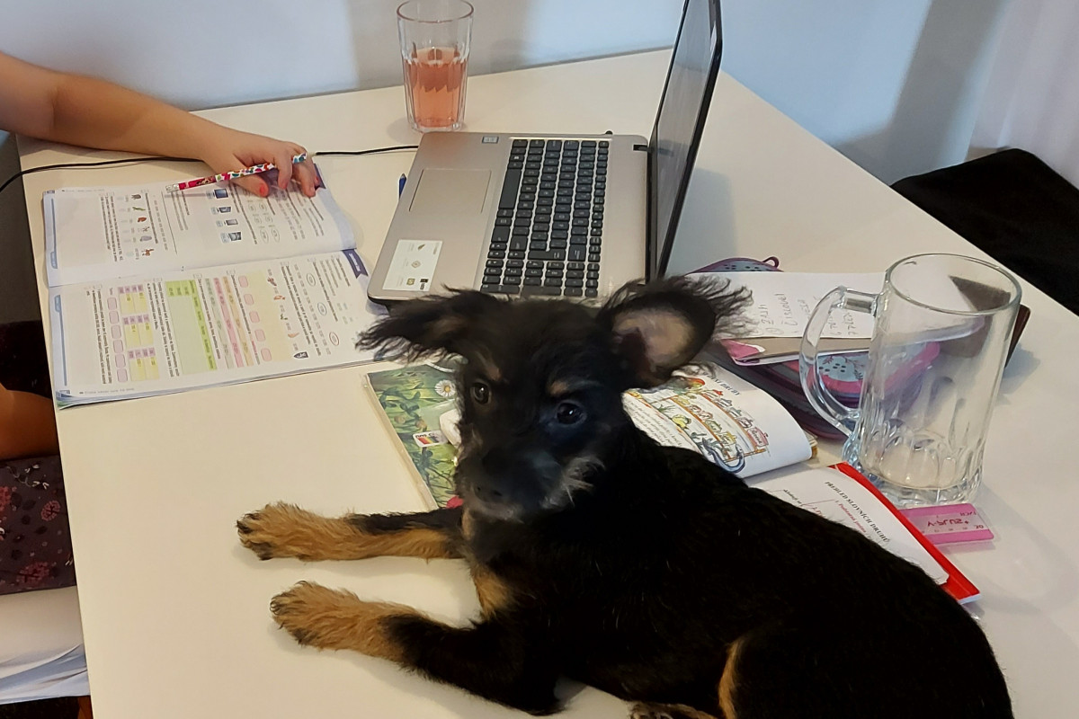 Bezpečnost našich dat a systémů není samozřejmost Bezpečnost našich dat a systémů není samozřejmost