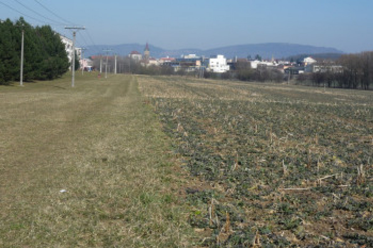 Po prázdninách začne v Jičíně výstavba Odpočinkové zóny Cidlina