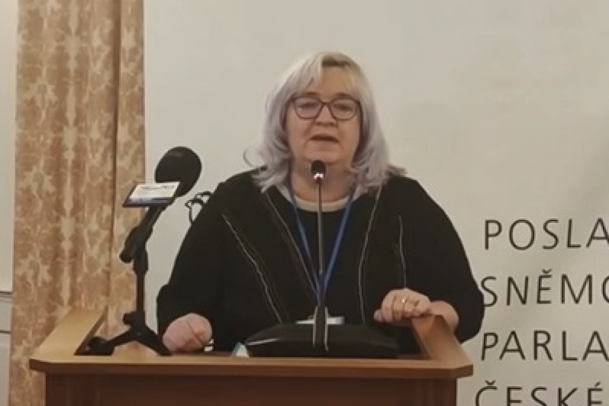 Máme svobodu slova de iure, nikoli de facto, říká Hamplová Máme svobodu slova de iure, nikoli de facto, říká Hamplová