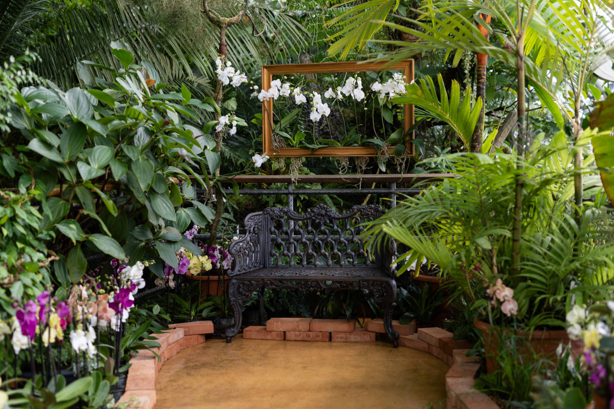 Skleník Fata Morgana září barevnými květy orchidejí