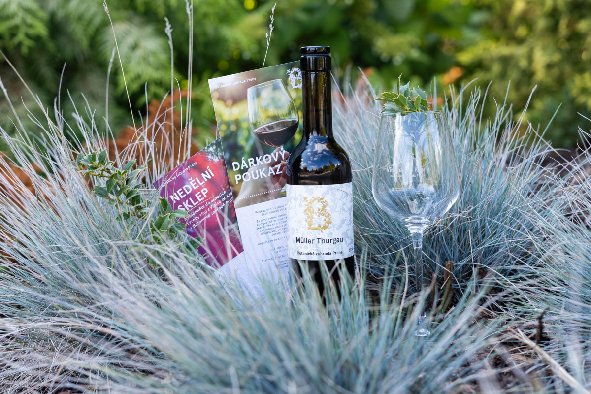 Vánoční nadílka z Botanické zahrady Praha