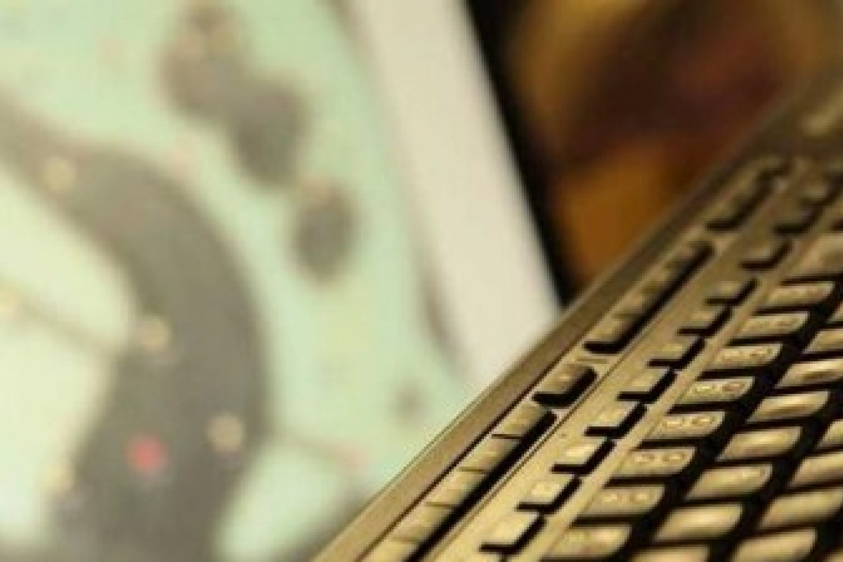 Seznamte se, prosím. Elka, nová virtuální asistentka na krajském webu