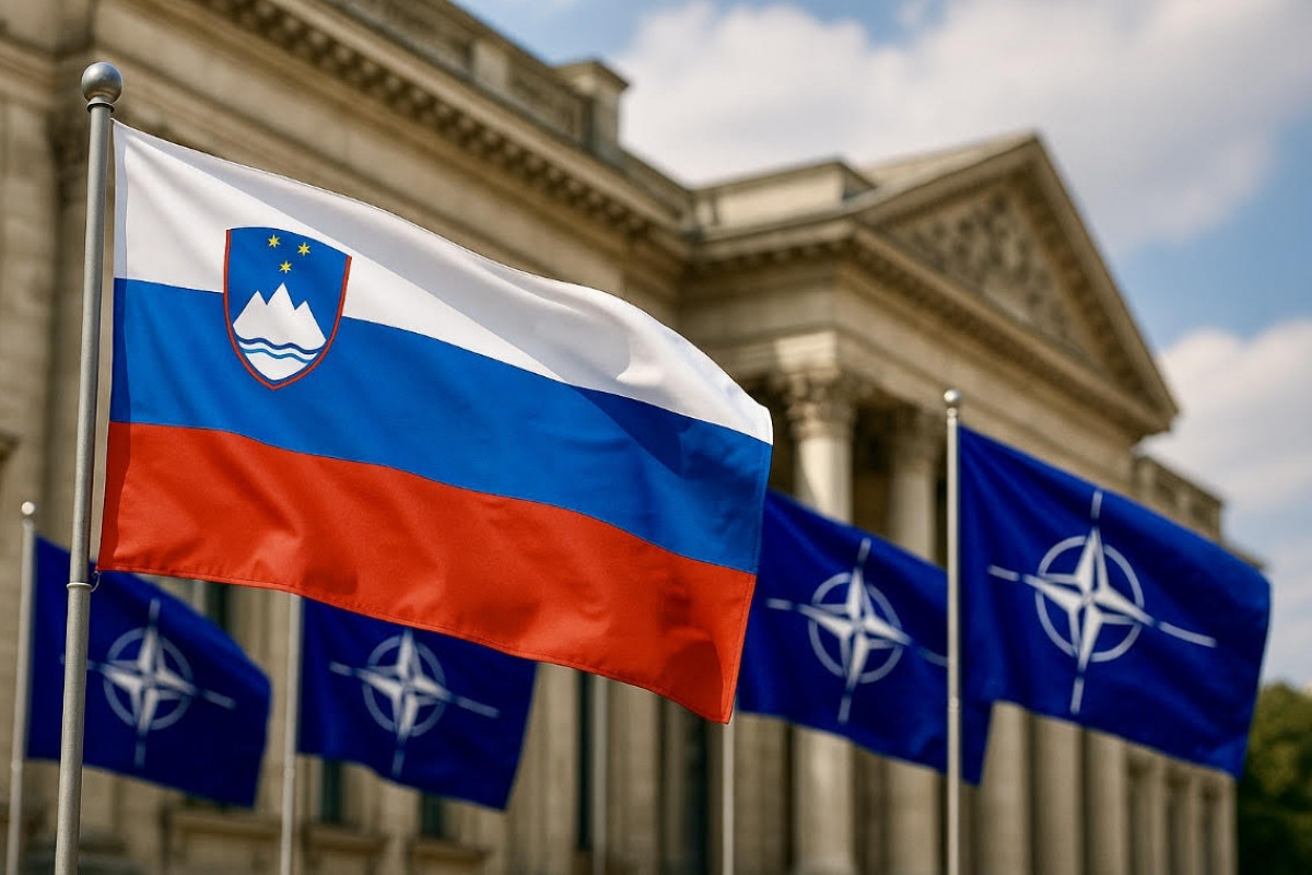 Slovinská vzpoura proti NATO. Krize legitimity a návrat k demokracii