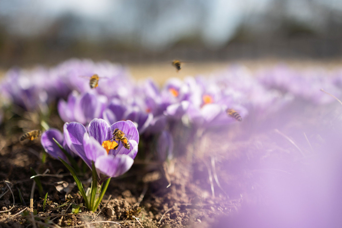Masarykova nemocnice a Fakulta životního prostředí letos slaví 35 let