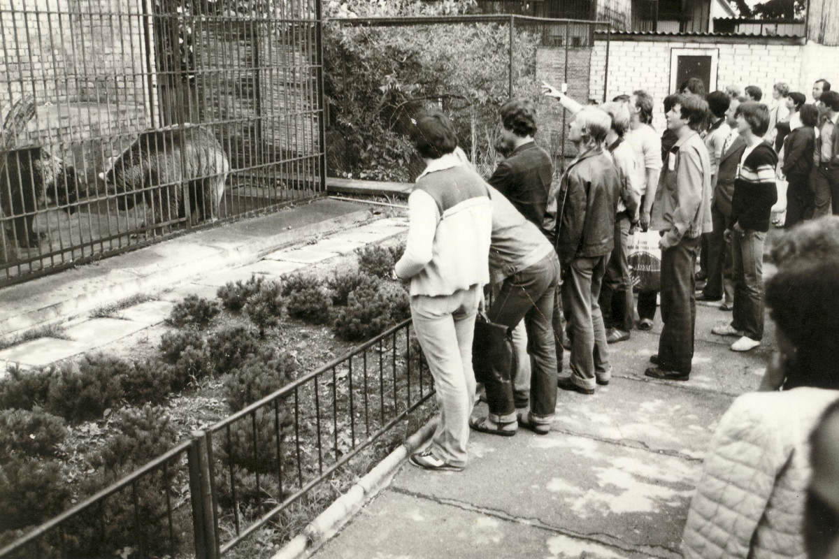 Jihočeská zoologická zahrada Hluboká nad Vltavou slaví 85.výročí