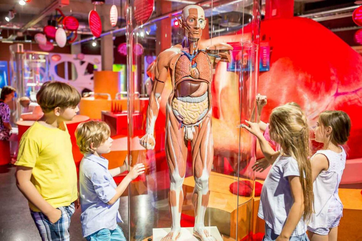 Liberecký kraj školám usnadní cestu do iQLANDIE