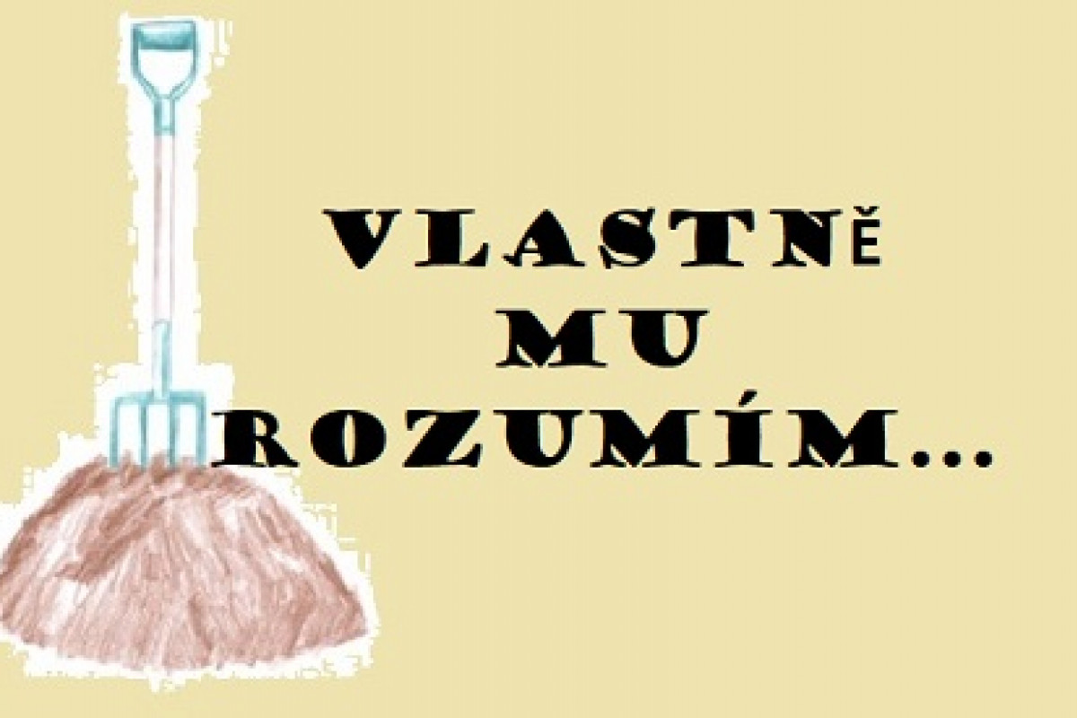 Babiš je realita možného. Vidlák viděl a má jasno