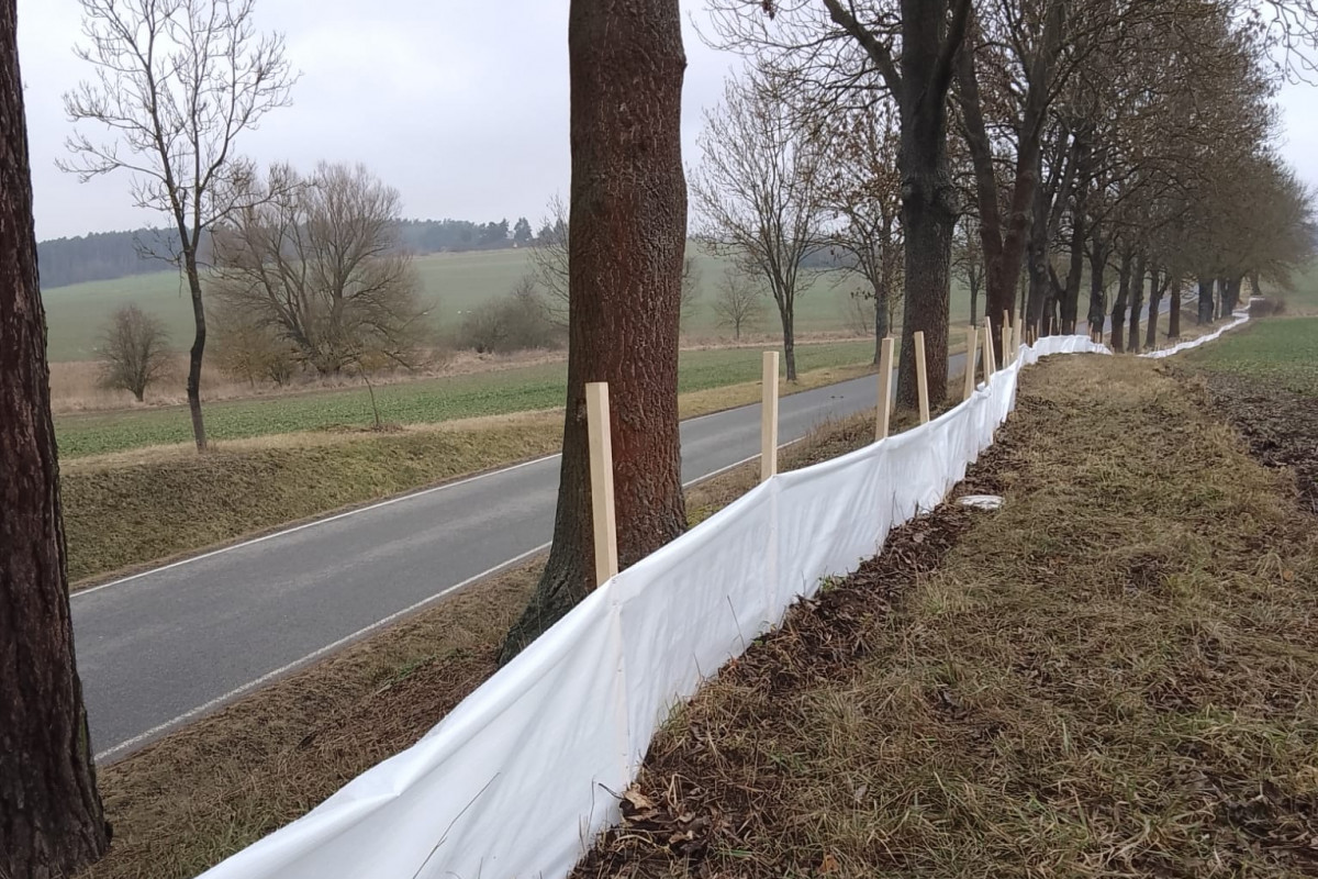 V okolí Písku vyrostly bariéry, které mají ochránit obojživelníky