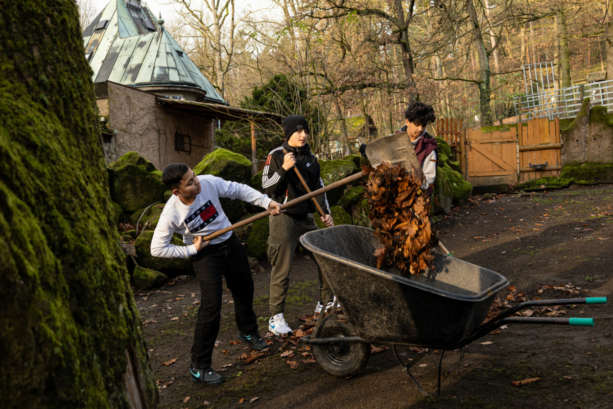 Přijďte si nahrabat do zoo: Podzimní brigáda přilákala malé pomocníky