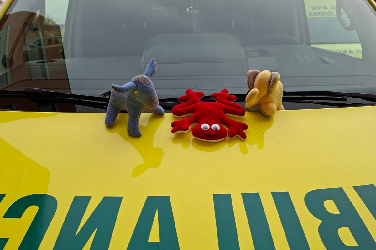 Plyšáci vznikají ve Věznici Mírov v rámci programu Humanita Plyšáci vznikají ve Věznici Mírov v rámci programu Humanita