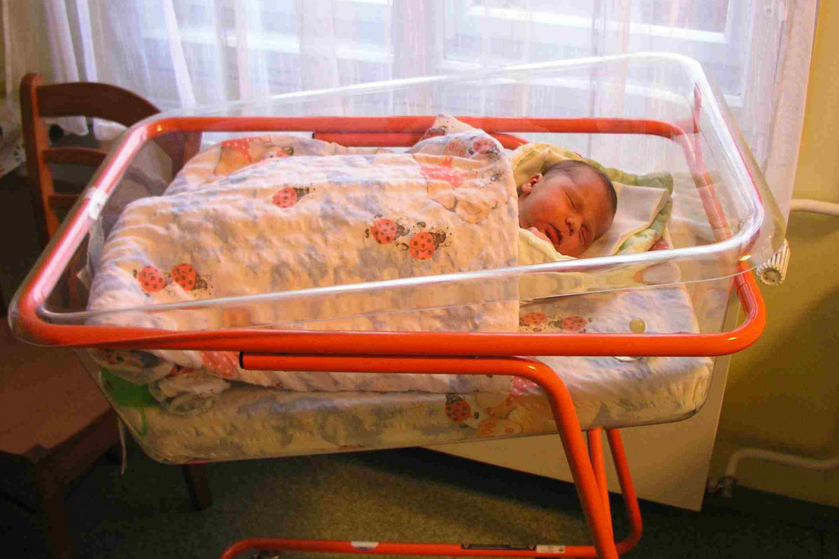 Plzeňský kraj spustil web Pěstuj budoucnost