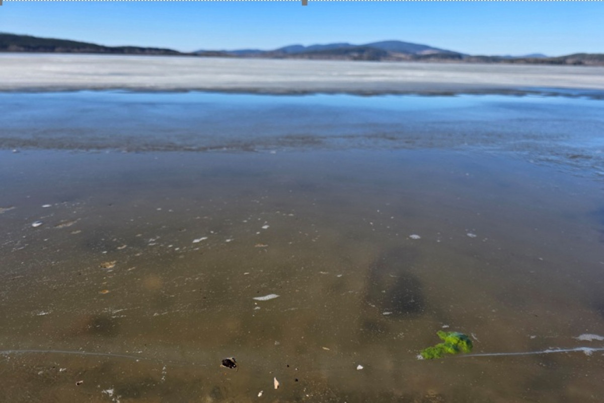 Lipno mělo stejnou koncentraci sinic jako produkční rybníky v létě