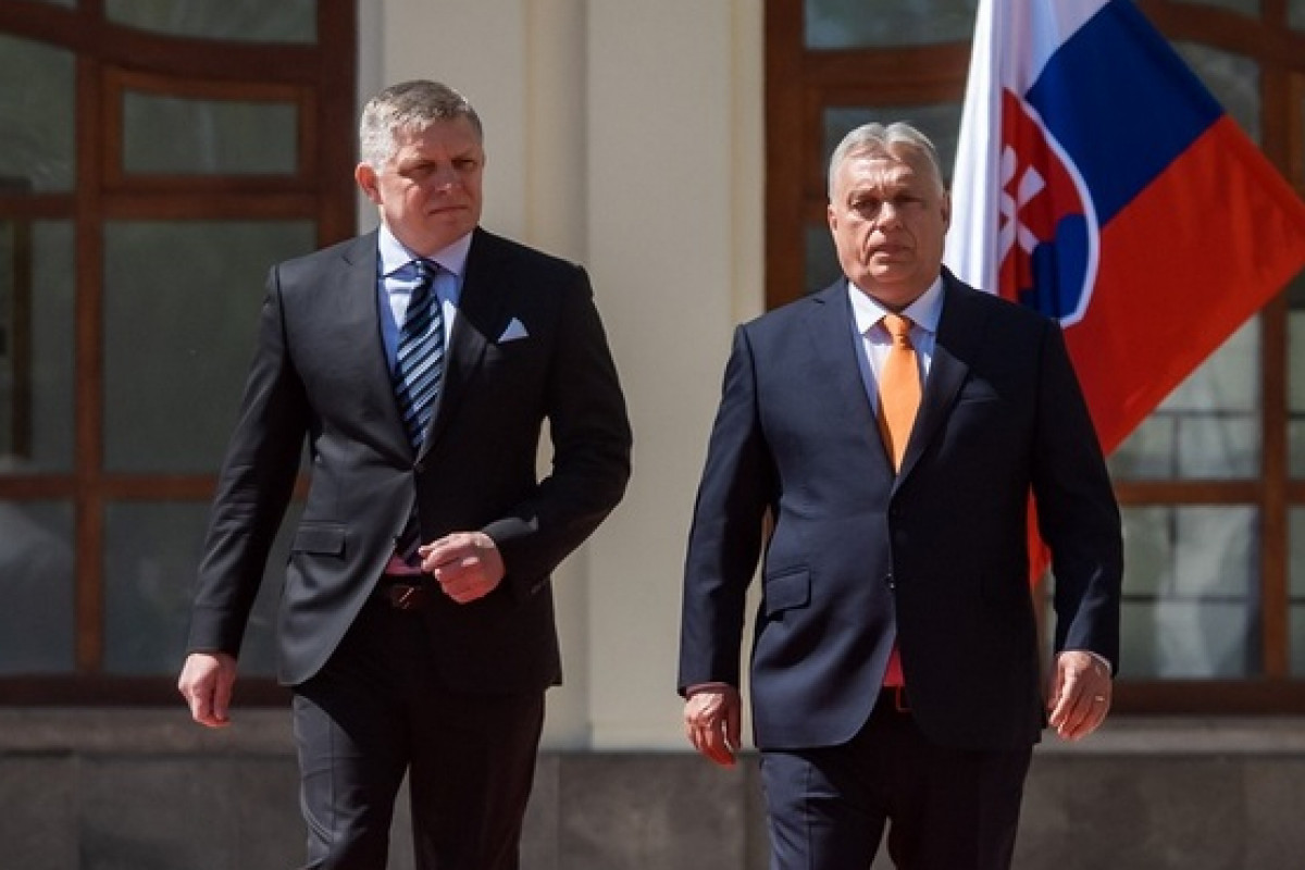 Vítězství Babiše potěšilo sousedy, Orbán mluví o naději pro Evropu