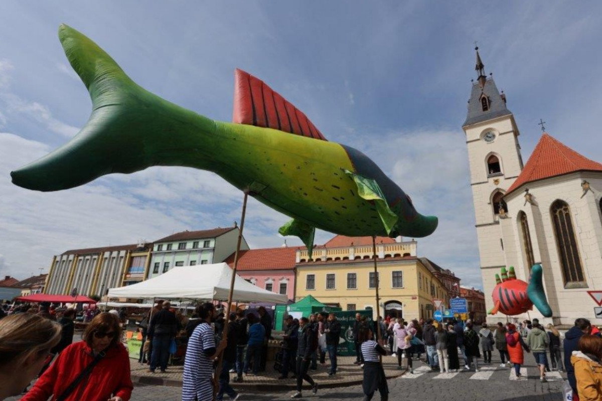 Vodňanské rybářské dny 2026 nabídnou tradici, hudbu