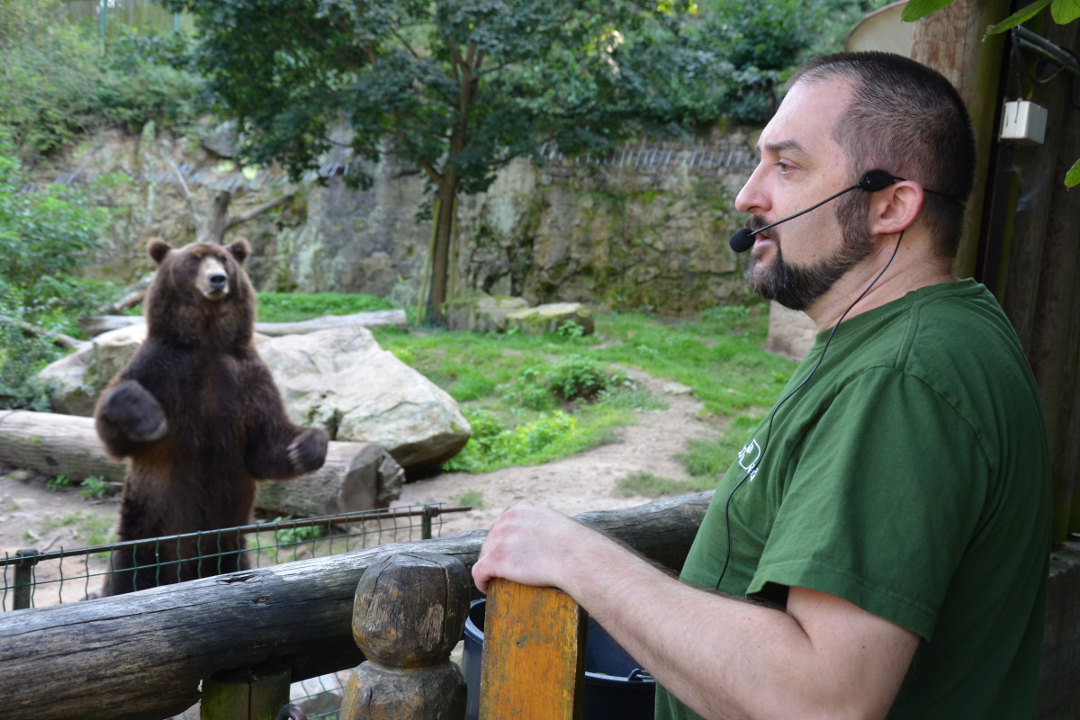 Léto v Zoo Děčín: Zábava, zážitky a zvířata po celé prázdniny
