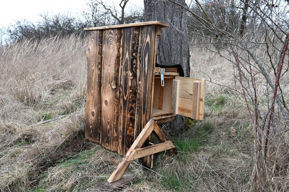 Město Písek instalovalo speciální budky pro dudka chocholatého