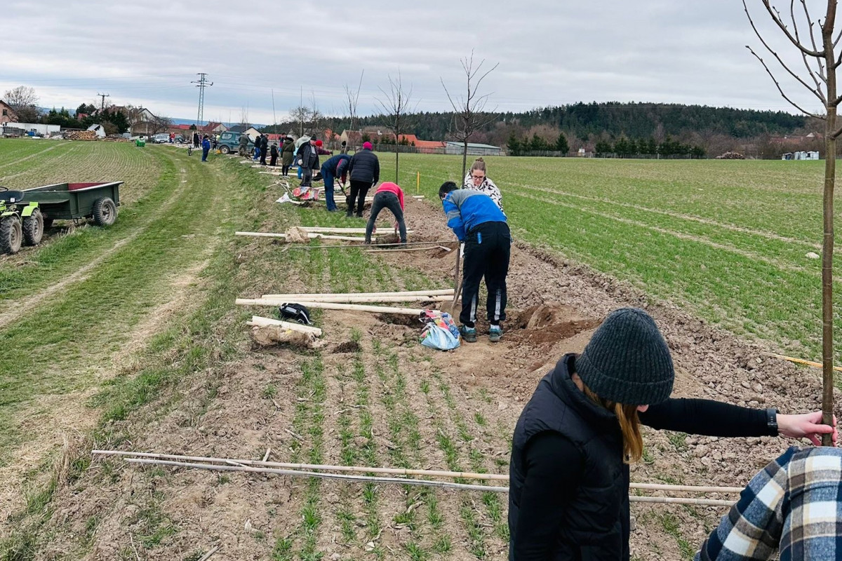 Nadace ČEZ a 40 nových lip v obci Příčina Nadace ČEZ a 40 nových lip v obci Příčina