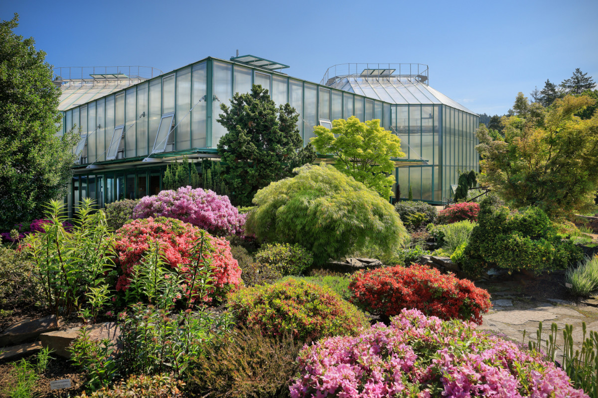 Botanická zahrada Liberec zve na podzimní přednášku