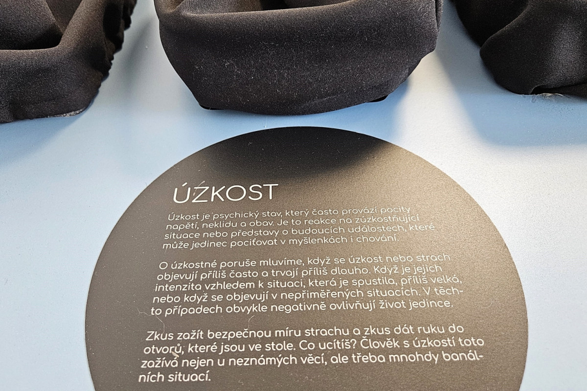 Liberecký kraj se opět připojí k Týdnům duševního zdraví