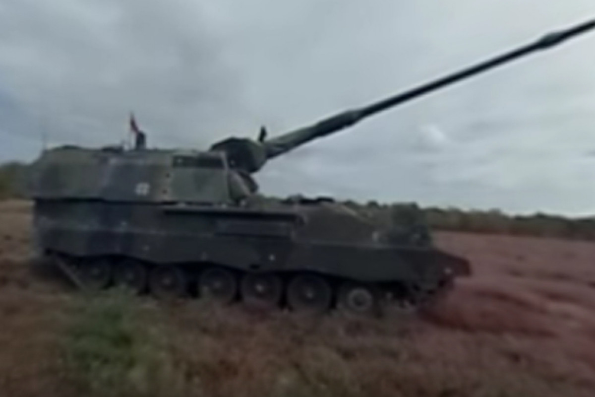 Stane se z německé cikády kudlanka nábožná?