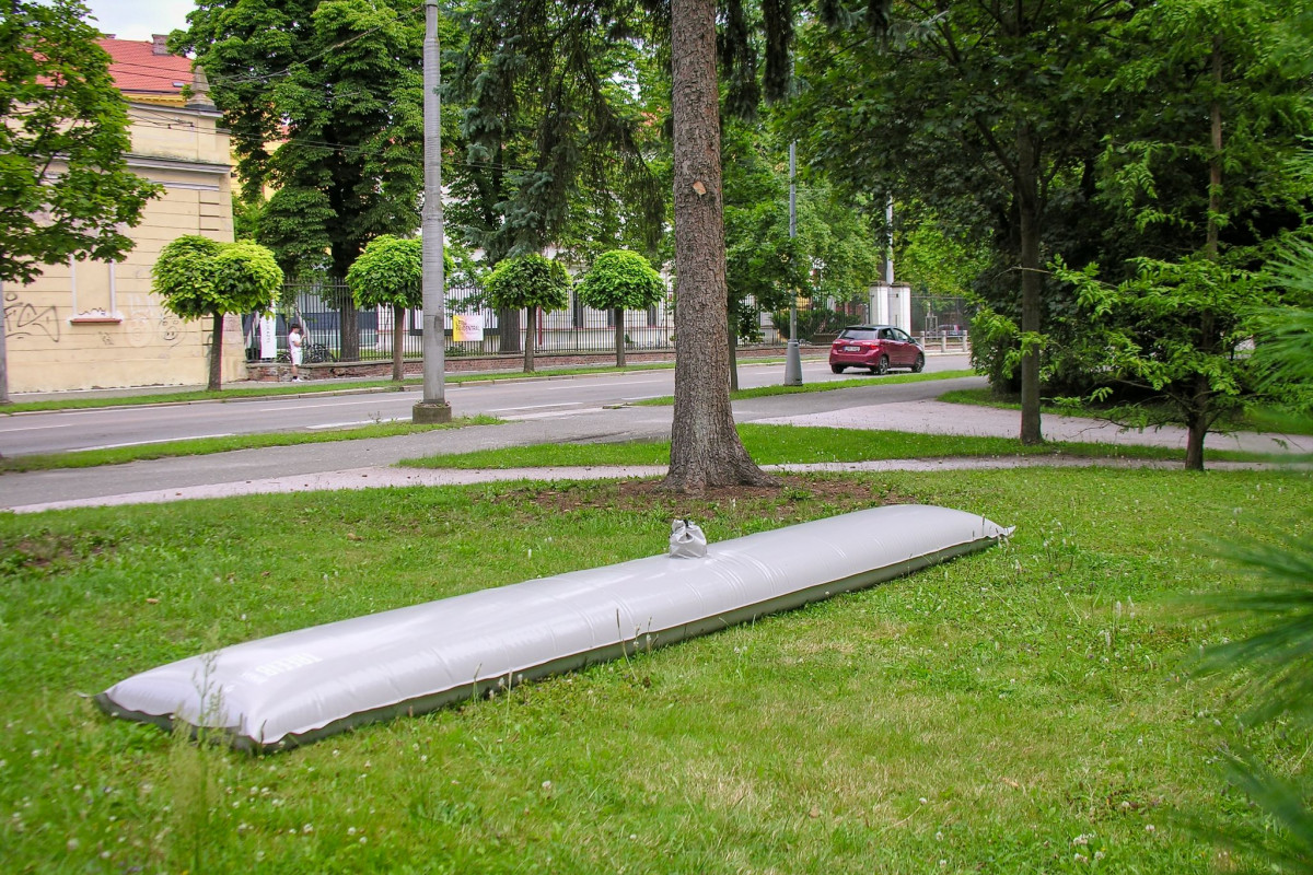 Vzrostlým stromům pomůžou v Hradci speciální zavlažovací vaky Vzrostlým stromům pomůžou v Hradci speciální zavlažovací vaky